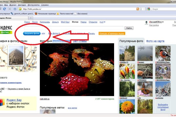 Krab5.cc для профессионалов