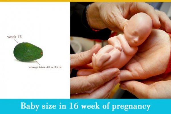 Качественные возможности кракен работает