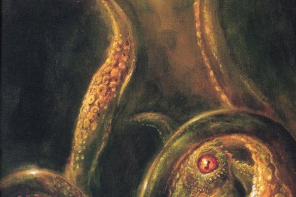 Кракен маркет тор: инструкция